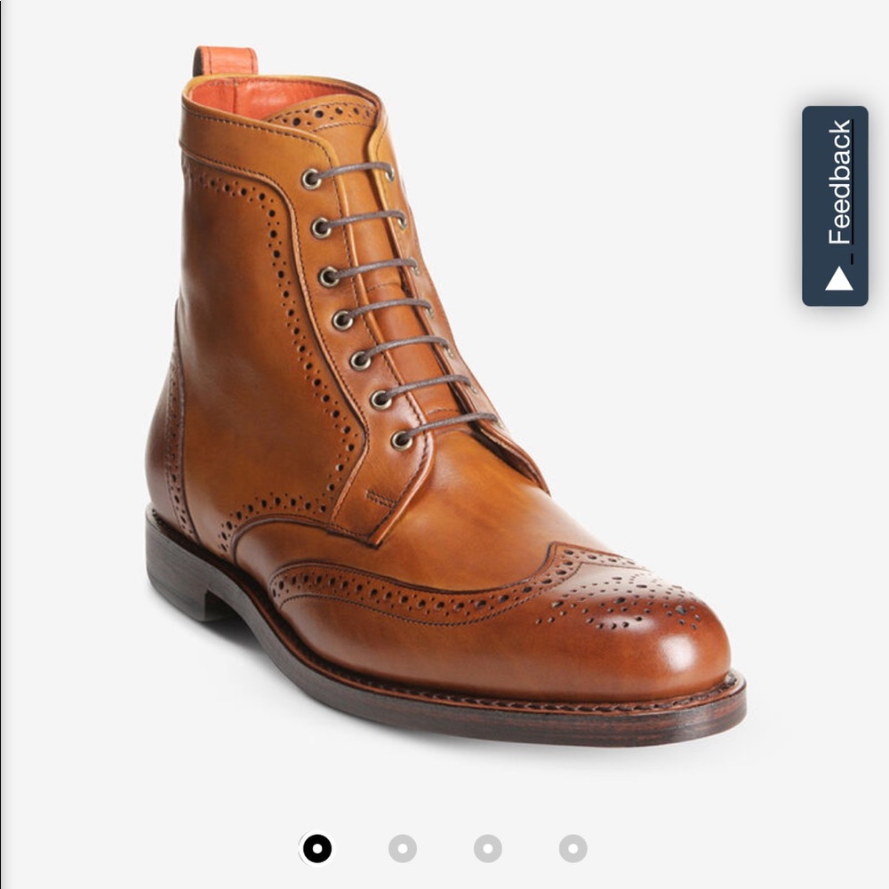 Allen Edmonds Dalton Wingtip Dress Boots 🥾